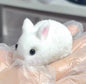 Hand-made kneaded rabbit